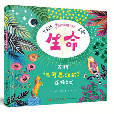 如何制定适合自己的篮球敏捷性训练计划_1